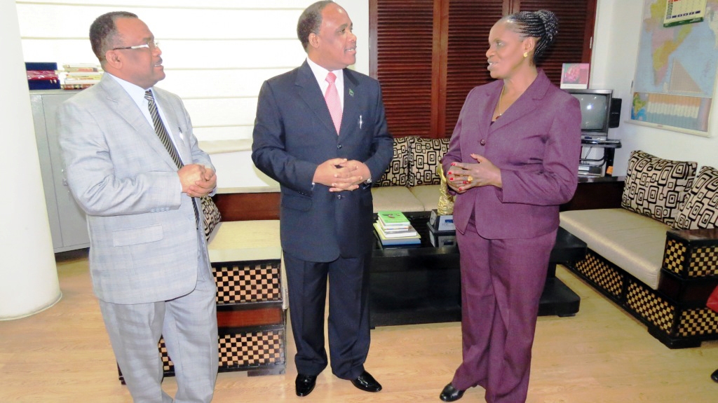 tanzania high commission - new delhi